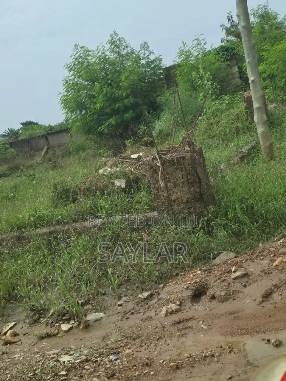 Already Fenced Full Plot for Sale at Comm19 Annex