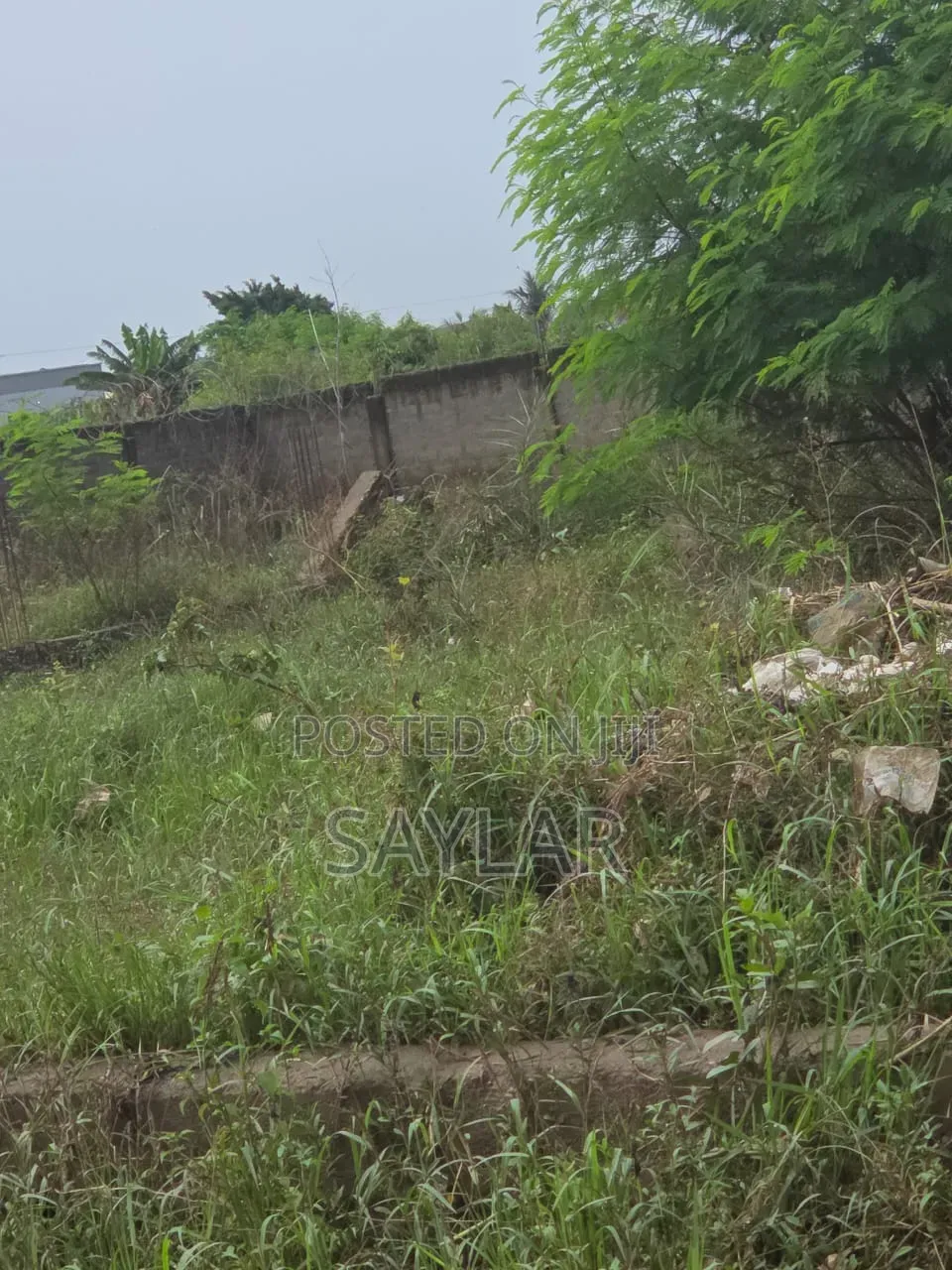 Already Fenced Full Plot for Sale at Comm19 Annex