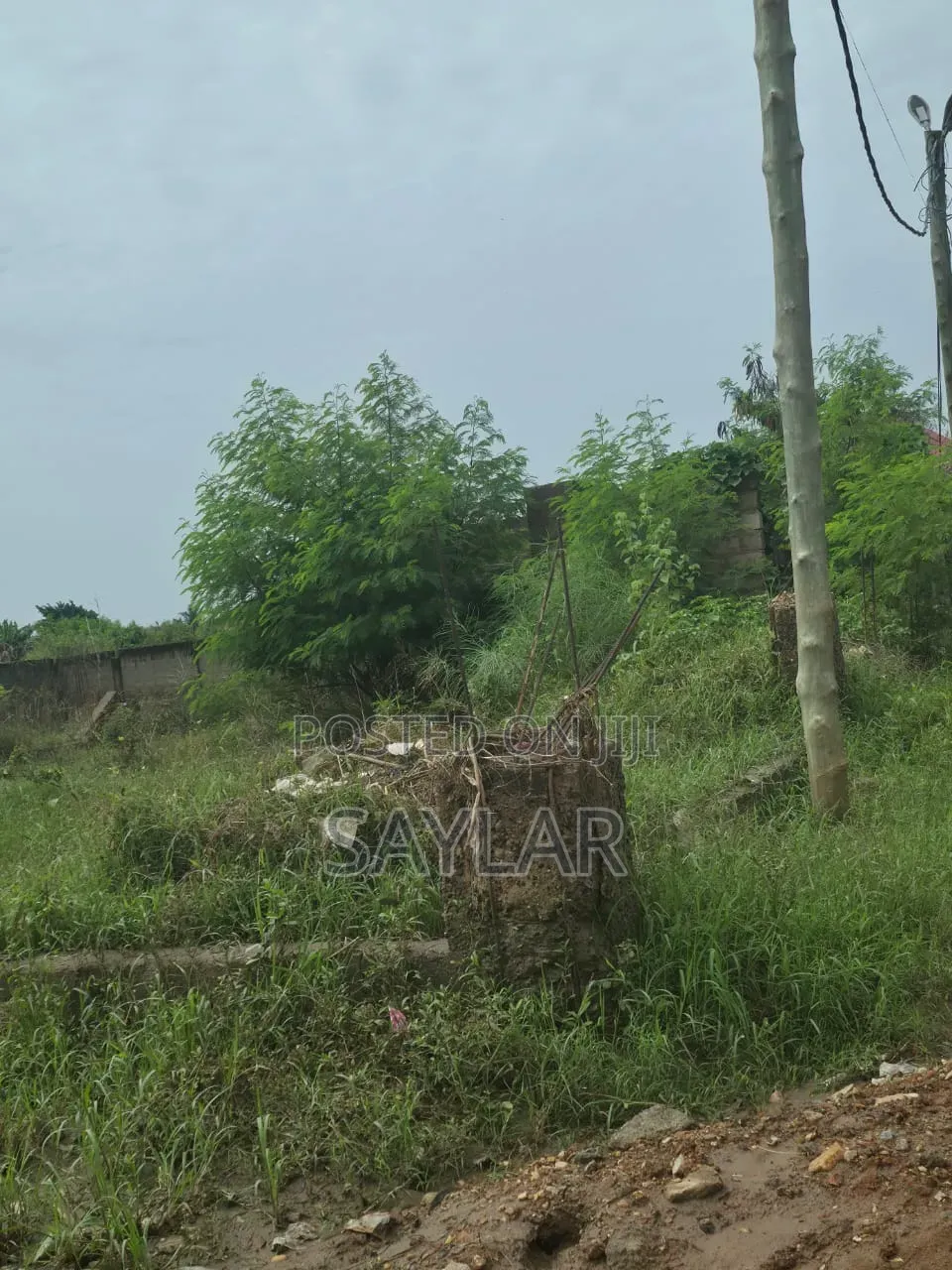 Already Fenced Full Plot for Sale at Comm19 Annex
