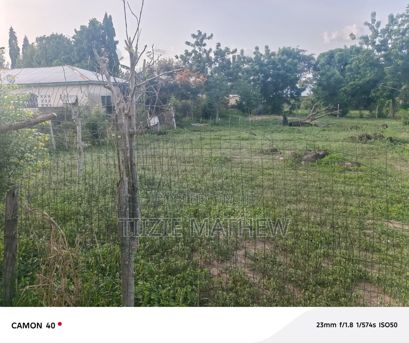 Land for Sale