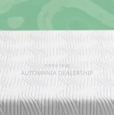 Throyal Latex Mattress