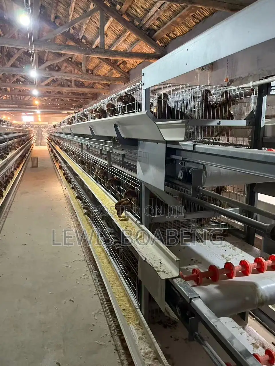 Battery Cages
