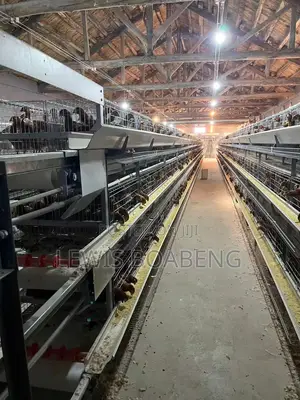 Battery Cages