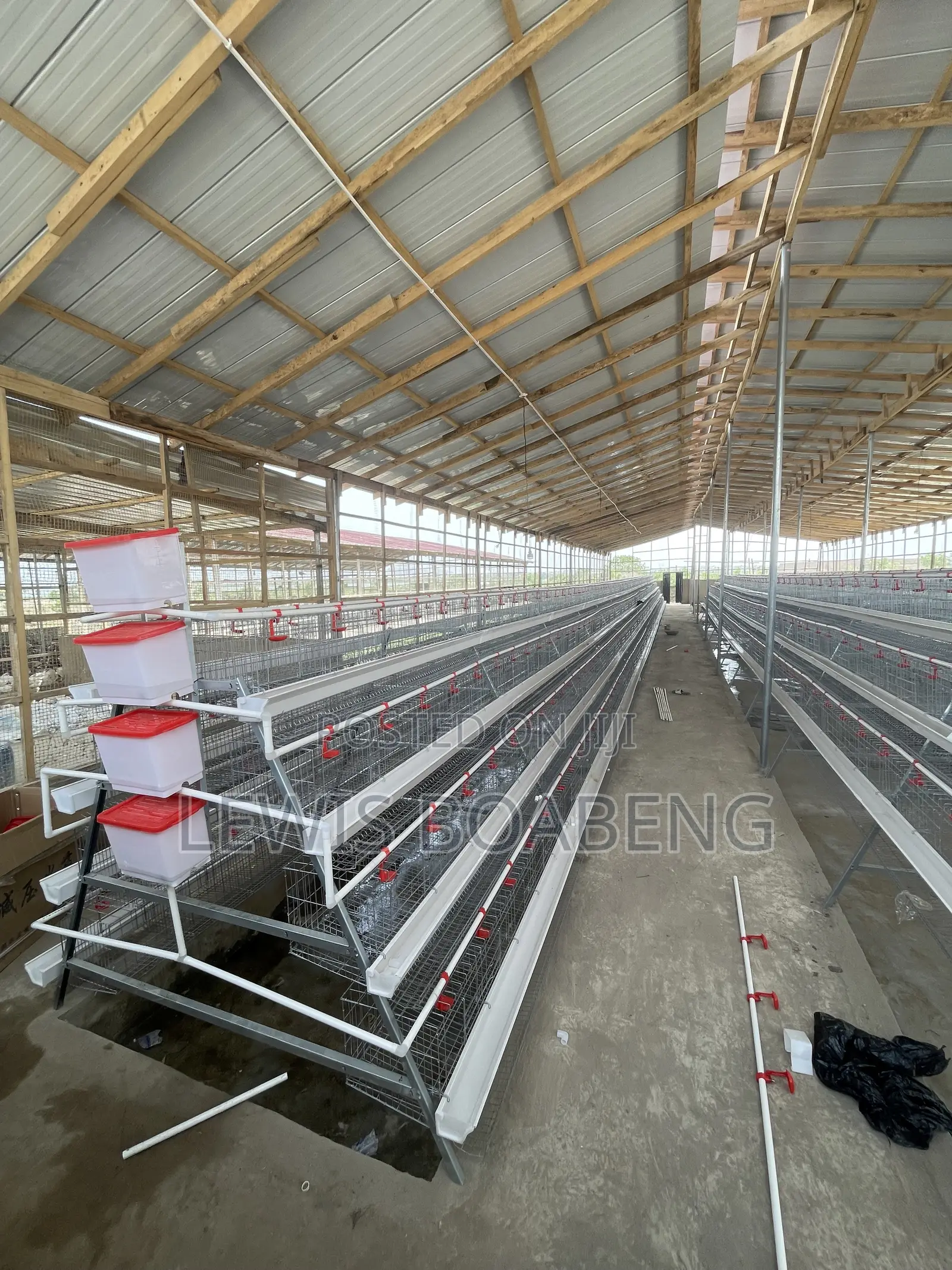 Battery Cages