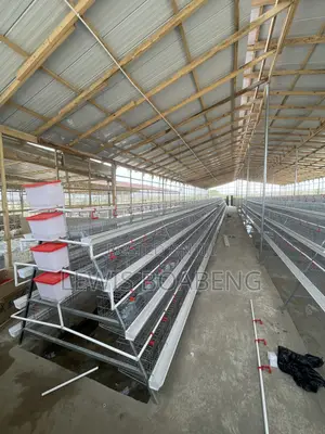 Battery Cages