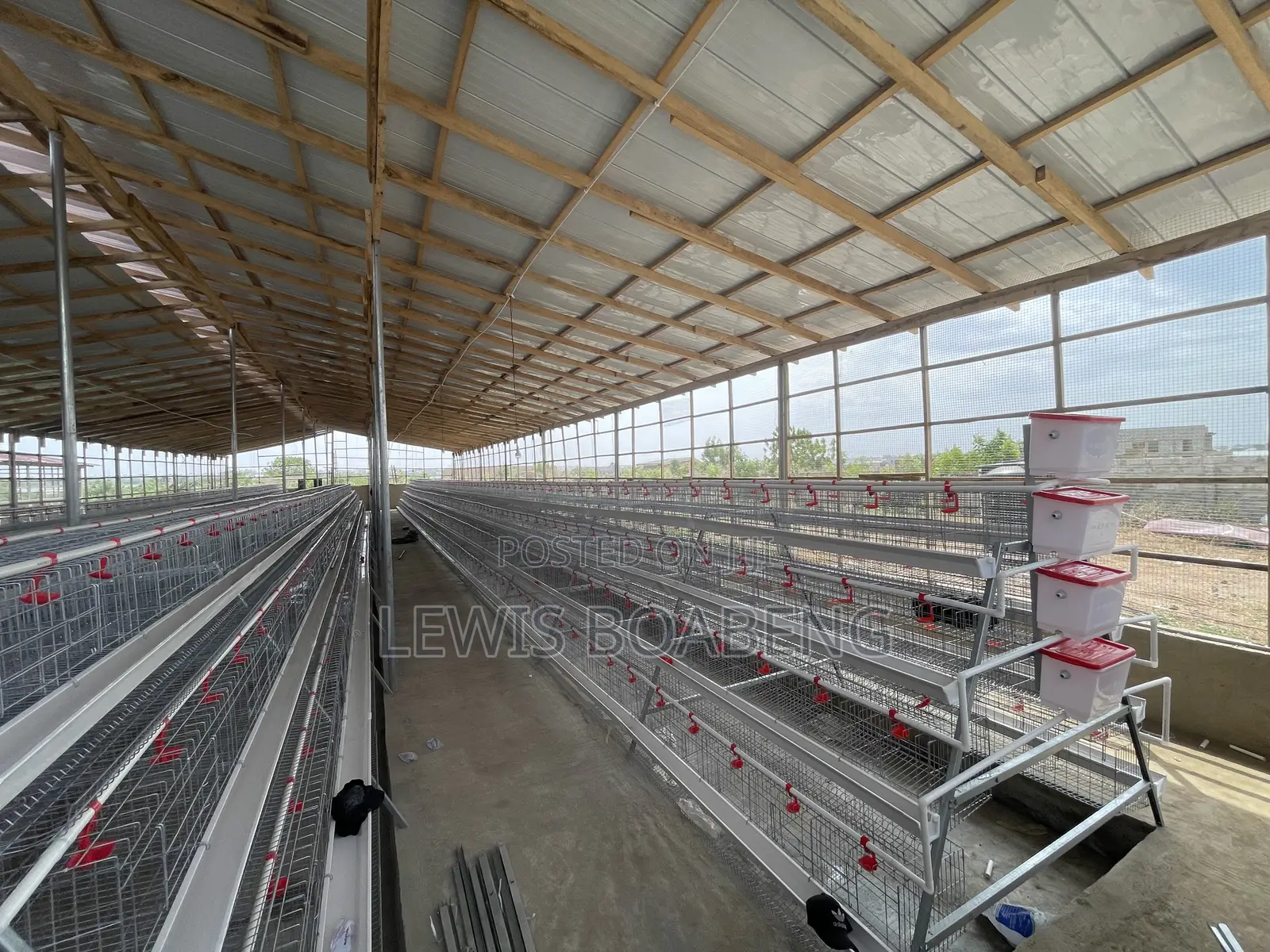 Battery Cages