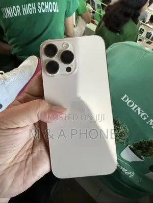 Apple iPhone 16 Pro Max 256 GB Silver