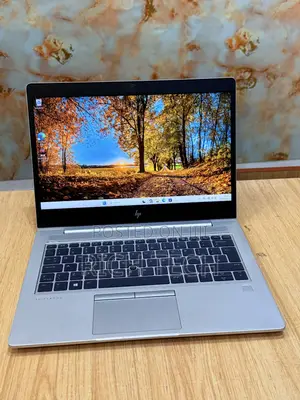Laptop HP EliteBook 735 G6 8GB AMD Ryzen 3 SSD 256GB