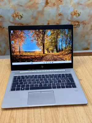Laptop HP EliteBook 735 G6 8GB AMD Ryzen 3 SSD 256GB