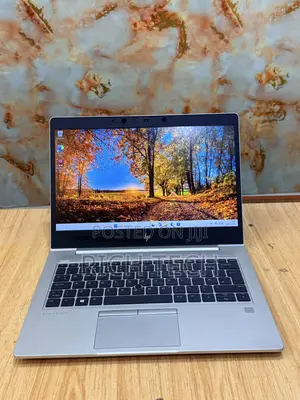 Laptop HP EliteBook 735 G5 8GB AMD Ryzen 7 SSD 256GB