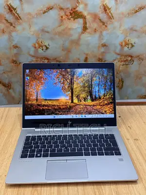 Laptop HP EliteBook 735 G5 8GB AMD Ryzen 7 SSD 256GB