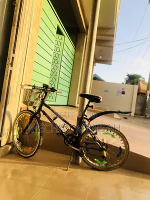 Violet Bicycle