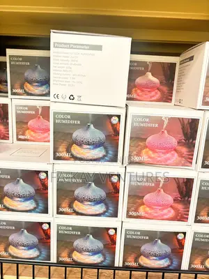 300ml Cool Mountain Humidifier
