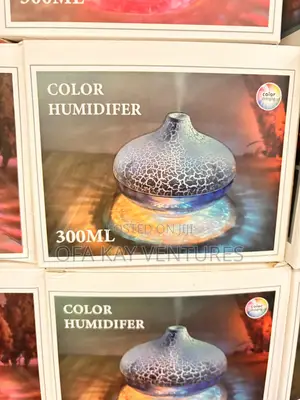 300ml Cool Mountain Humidifier