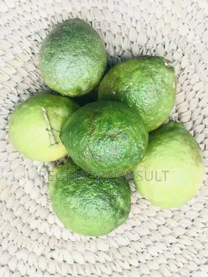 Organic Lemon for Sale