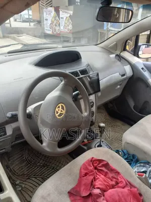 Toyota Vitz 2010 Gray