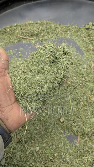 Moringa Leaves