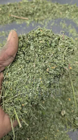 Moringa Leaves