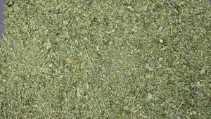 Moringa Leaves