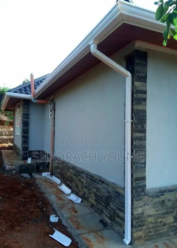 Rain Gutters Service