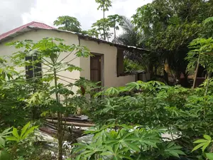 Block Factory for Sale at Akotsi in an Estate