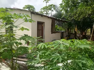 Factory for Sale in Kasoa