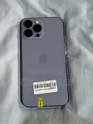 Apple iPhone 13 Pro Max 256 GB Gray