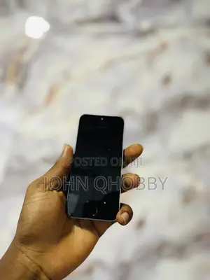 Apple iPhone 5s 16 GB Gray
