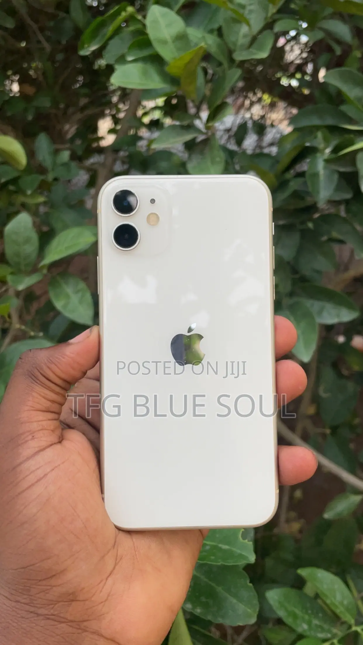 Apple iPhone 11 64 GB White