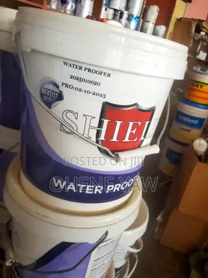 All Is About Paint