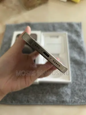 Apple iPhone 15 Pro Max 256 GB Gray