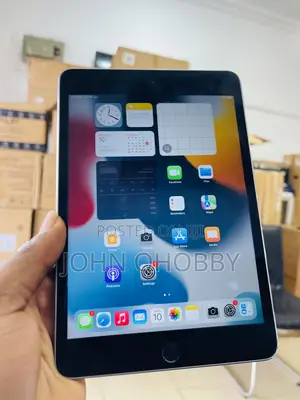 Apple iPad mini 4 128 GB Gray
