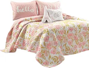 Lush Decor Comforter and Throw Pillows
