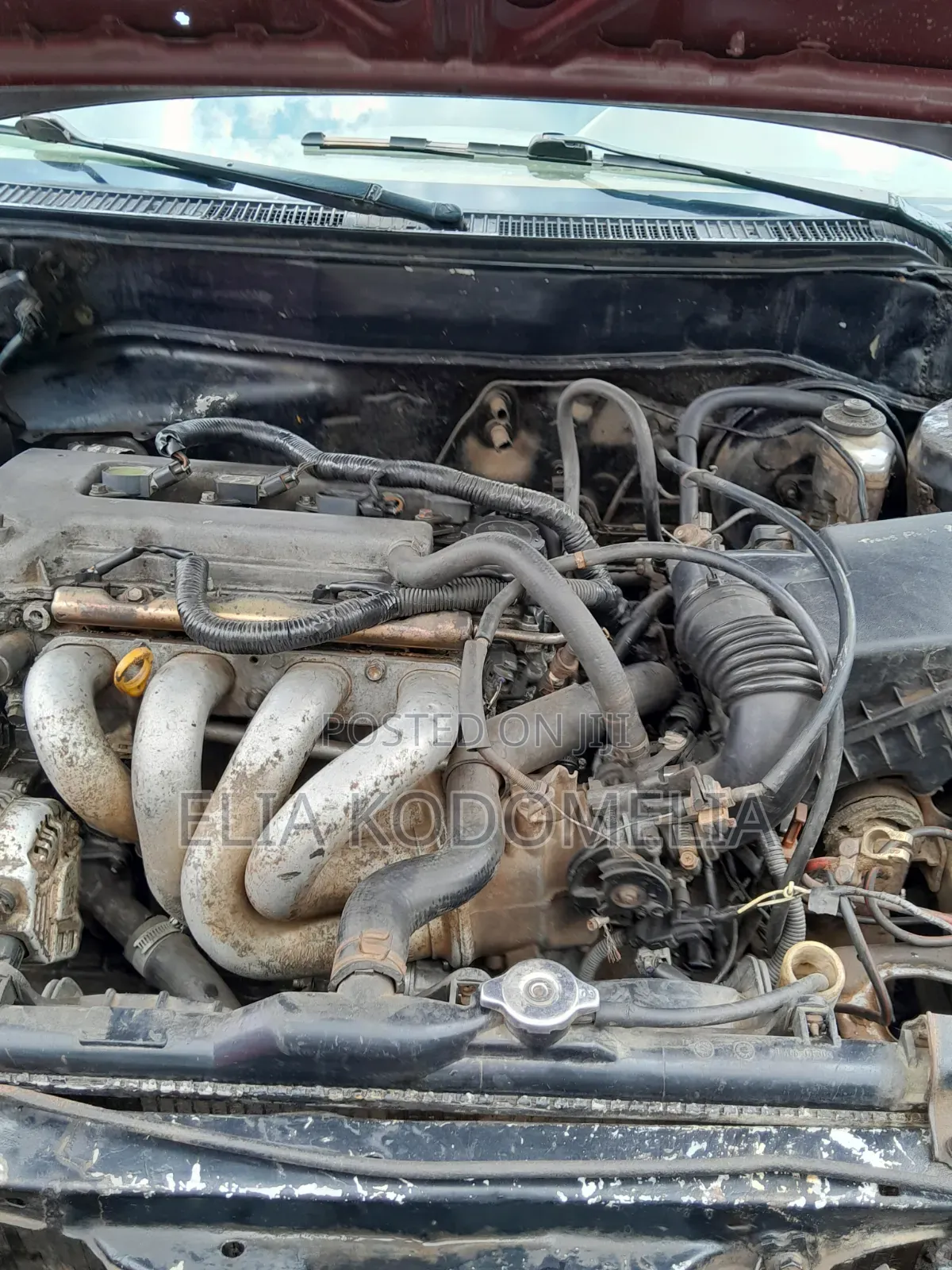 Toyota Corolla 1.6 Sol 2005 Red