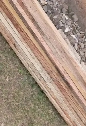 Timber for Sale