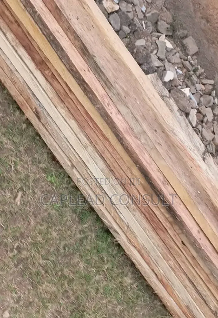 Timber for Sale