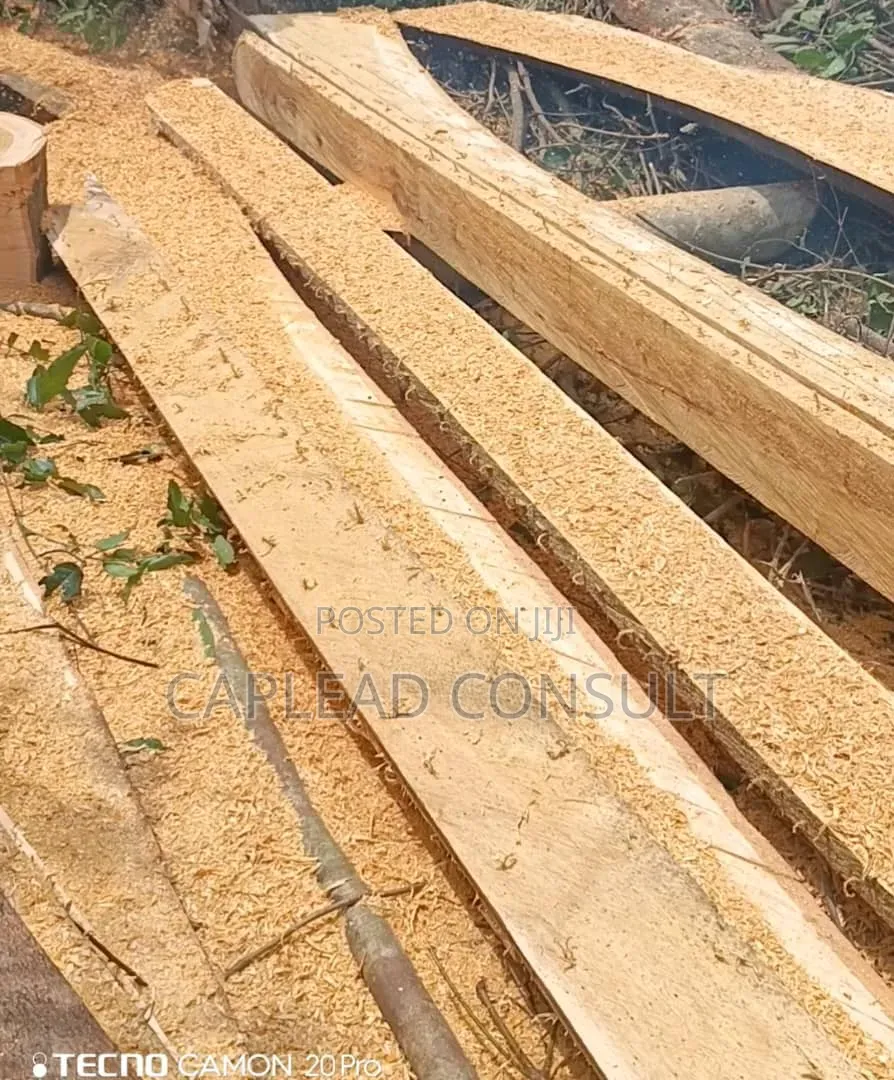 Timber for Sale