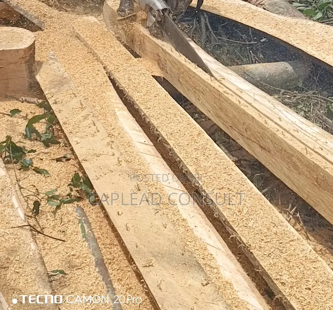 Timber for Sale