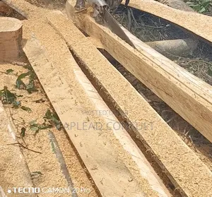 Timber for Sale