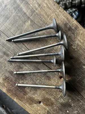 Engine Valves