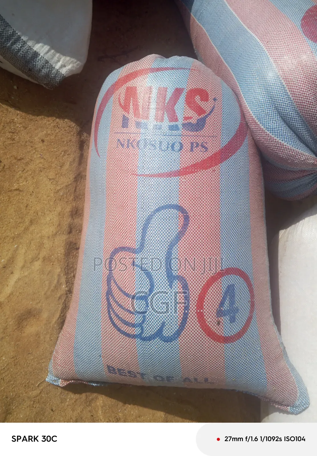 Maize/Corn for Sale