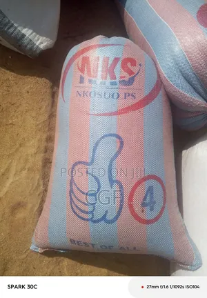 Maize/Corn for Sale