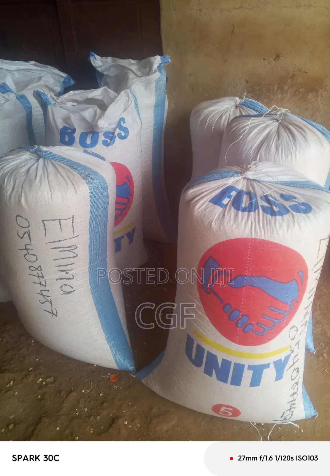 Maize/Corn for Sale