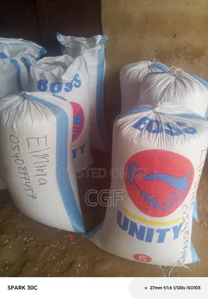 Maize/Corn for Sale