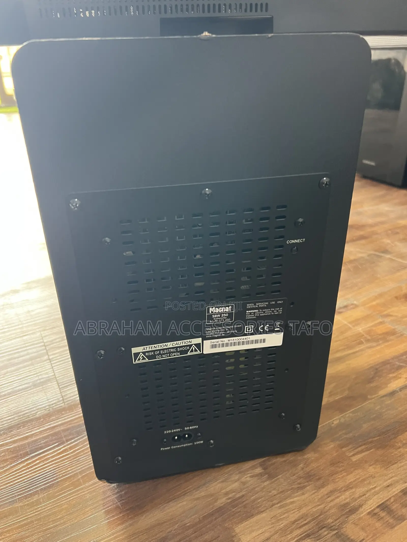 Magnat SBW 250