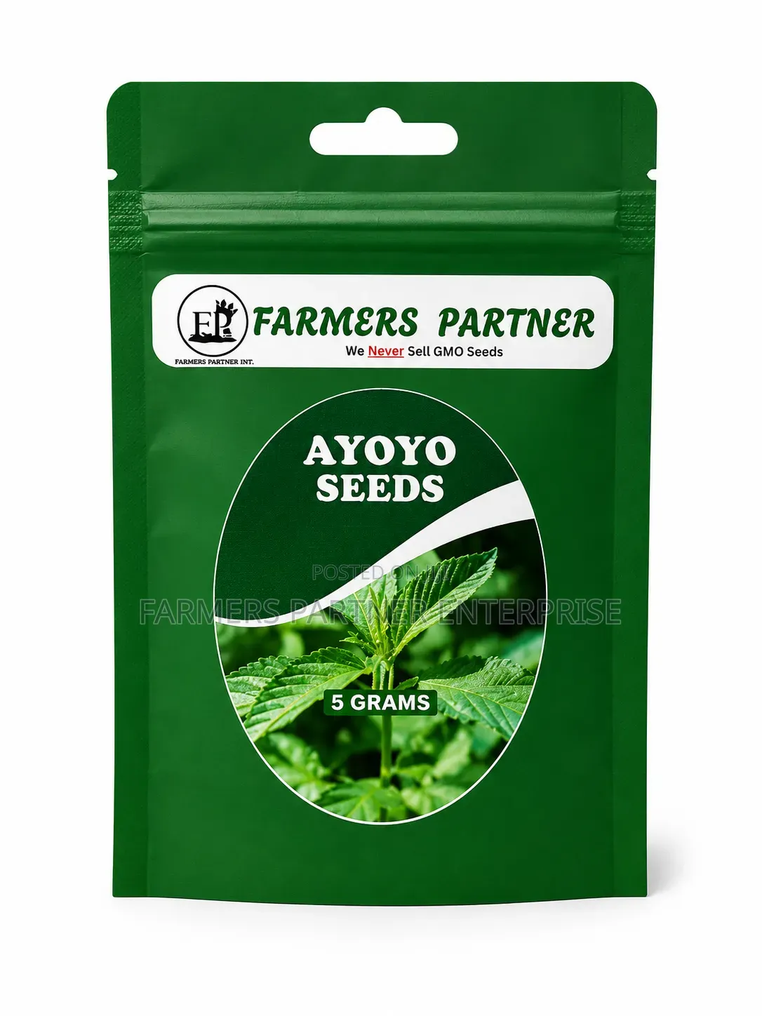 Ayoyo Seeds 5 Grams