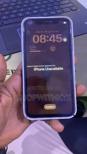 Device Software Repairs, Flashing and Unlocking