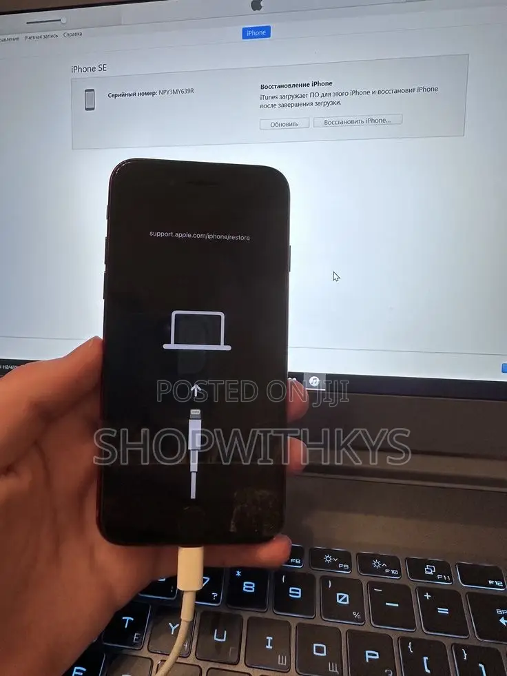 Device Software Repairs, Flashing and Unlocking