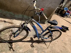 Qquality Home Use Bicycle