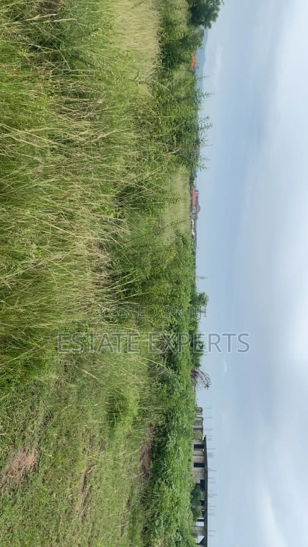 A Registered Land With Land Title Certificate Located in Ayikuma.